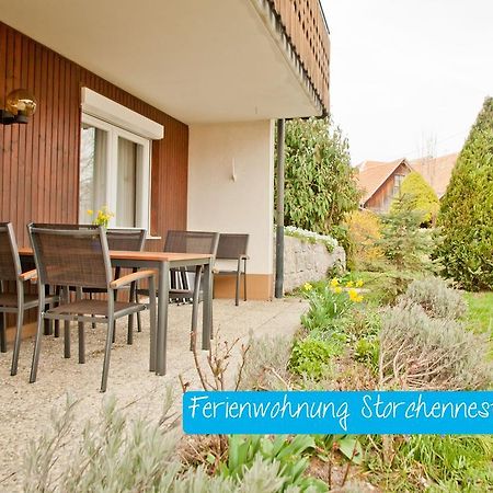 Ferienwohnung Storchennest Mit E-Ladestation Waldshut-Tiengen Exteriör bild